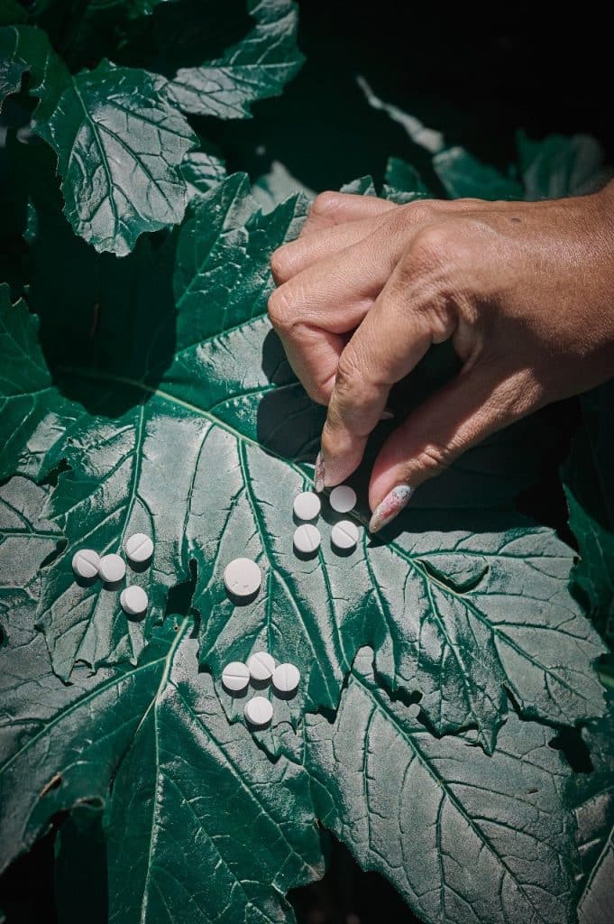 Self Guided Abortion